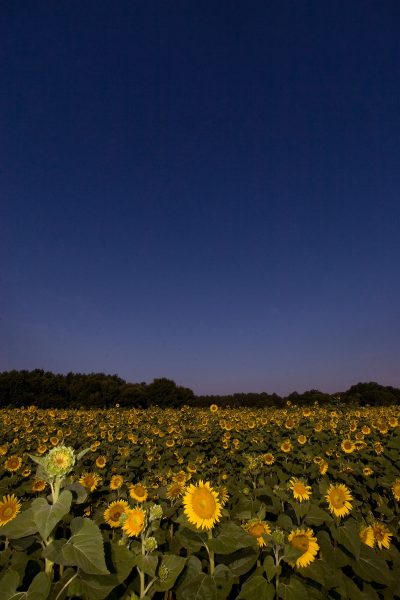 IMG_1050