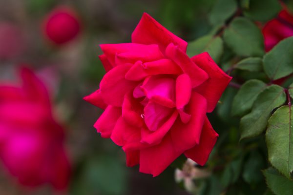 IMG_3829