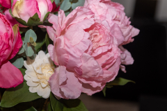 DSCF7811